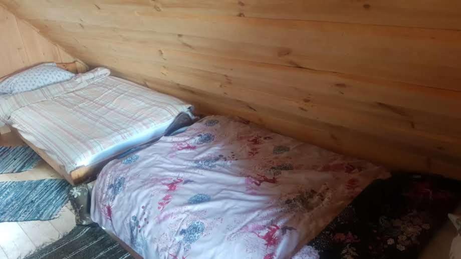 Oksa Puhkemaja Pension Võru Buitenkant foto